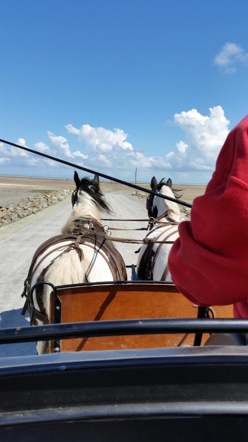 Les Chevaux De L'Hippocampe 호텔 Mont-Dol 외부 사진