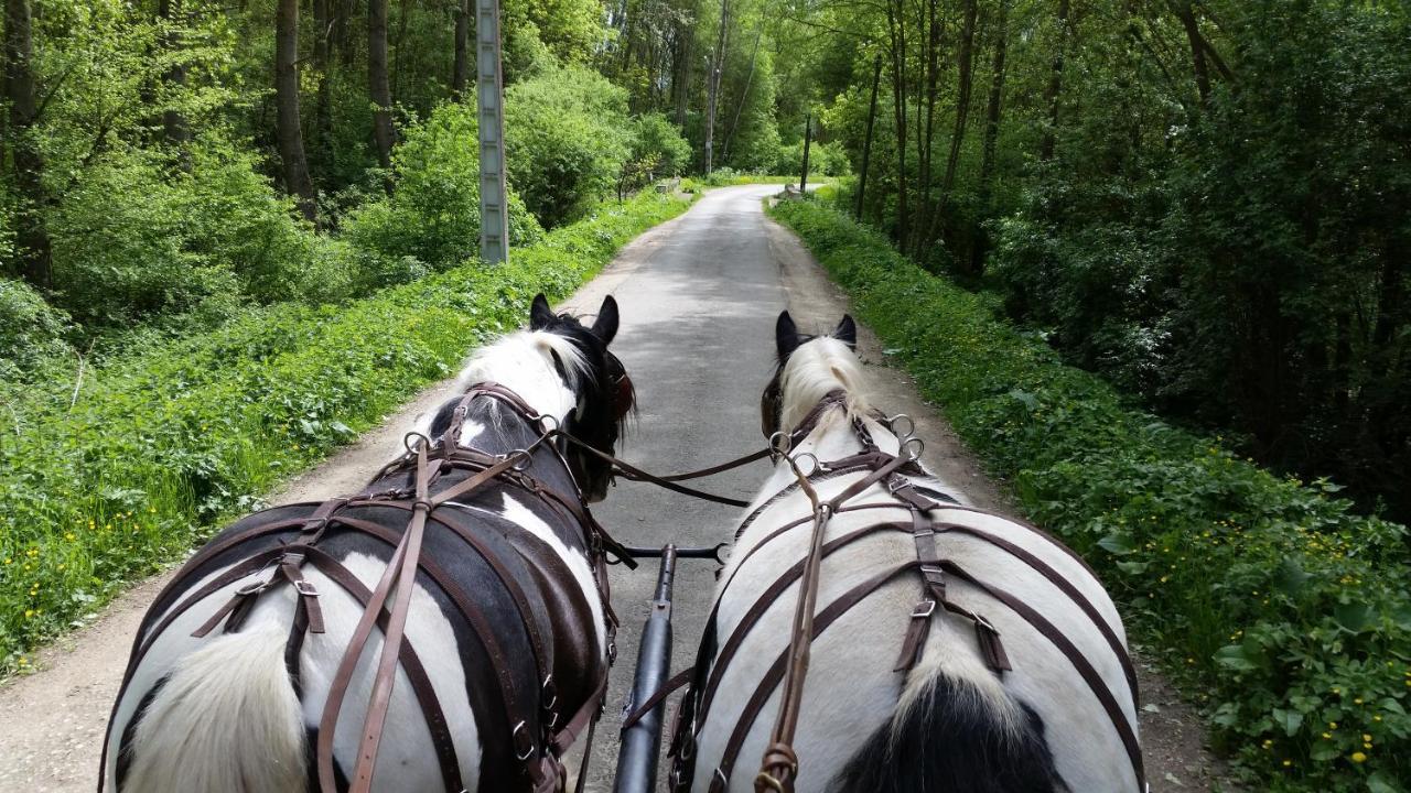 Les Chevaux De L'Hippocampe 호텔 Mont-Dol 외부 사진